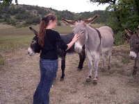 Photo : Balades avec des Anes aux Petits Moulins