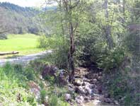 Photo : Ruisseau - vue Balade de Ruelle