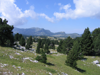 Photo : Le plateau du Vercors