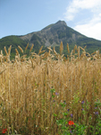 Photo : Le chtel vu de Cordac